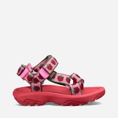 Teva Hurricane XLT 2 Kids' Pink Hiking Sandals CA28479 Canada Online